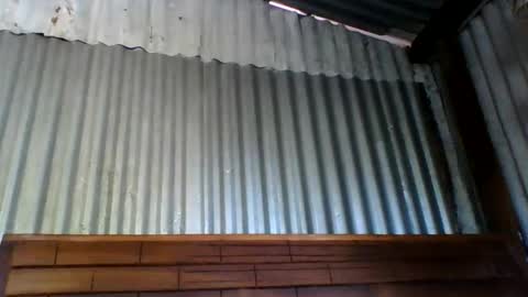 fleussia online show from March 20, 2026, 6:51 am