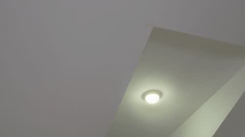 Snapshot of floret_joy chatting on January 20, 2025, 8:50 pm ALICE online show from January 20, 2025, 8:50 pm