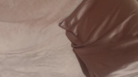 say meow and send tip  online show from December 21, 2025, 9:38 am