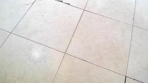 flyckers online show from September 13, 2025, 8:19 pm