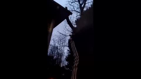 flyyguy69 online show from December 18, 2025, 12:11 pm