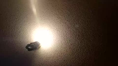 flyyguy69 online show from January 11, 2026, 1:38 pm