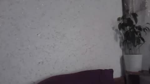 fox_red_lady7 online show from December 16, 2025, 10:53 am