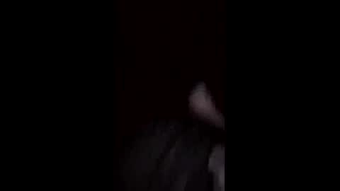 foxyfang online show from April 28, 2026, 5:34 am