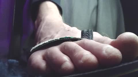 Greedy Fred online show from March 5, 2026, 1:56 am