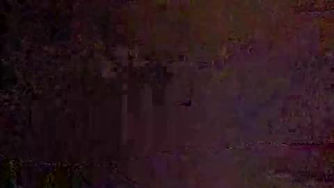 freelingling online show from November 30, 2025, 8:18 am