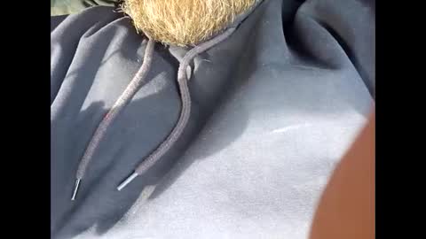 Frickish online show from November 24, 2025, 7:13 pm