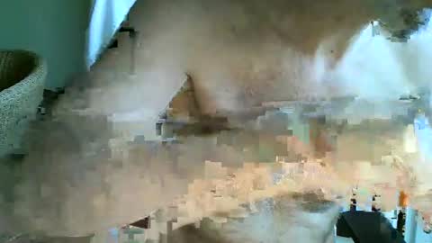 frisco69 online show from April 12, 2026, 11:04 am