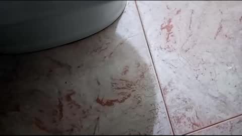 Hornycouple1386 online show from February 23, 2025, 2:25 pm