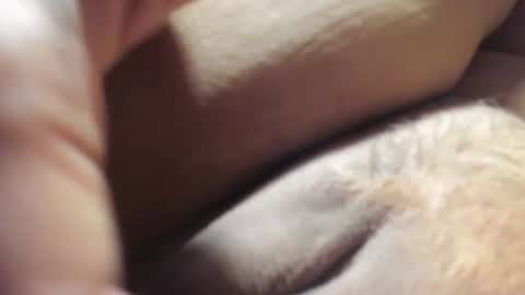 FrumCake online show from December 6, 2024, 1:18 am