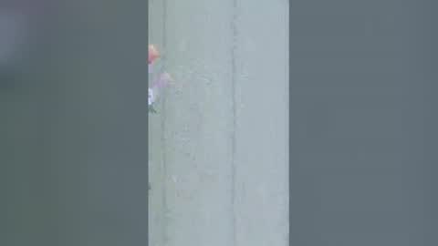 La online show from March 16, 2026, 9:24 am