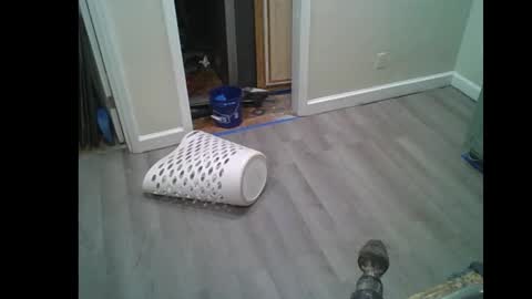 fuckwithmeonetime01 online show from February 16, 2026, 10:33 am