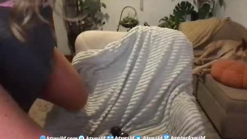   Thank you for visiting I hope you had fun 3 online show from November 19, 2025, 10:54 pm