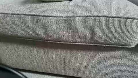 Snapshot of funcouple4282 chatting on September 12, 2025, 12:27 pm marklaura online show from September 12, 2025, 12:27 pm