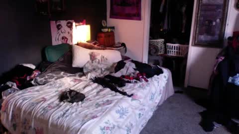 Snapshot of funmidwestman chatting on September 17, 2025, 12:12 am funmidwestman online show from September 17, 2025, 12:12 am