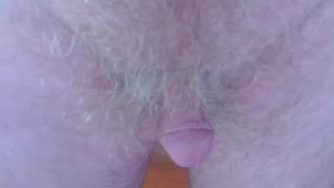 Snapshot of fuzzzman chatting on January 1, 2025, 3:02 am Mark online show from January 1, 2025, 3:02 am