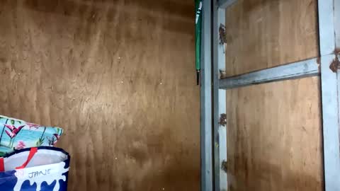 fvckingscarlet online show from November 23, 2025, 12:10 am