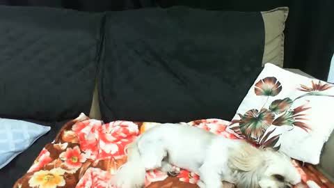 gaby  layla online show from January 20, 2025, 2:01 am