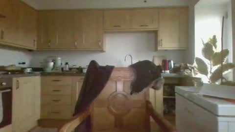 Snapshot of galacx chatting on February 21, 2025, 4:48 pm galacx online show from February 21, 2025, 4:48 pm