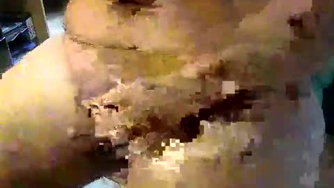 Stutzen online show from September 17, 2025, 8:05 am