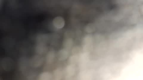 Snapshot of gallistuthomas440 chatting on October 29, 2025, 7:26 pm gallistuthomas440 online show from October 29, 2025, 7:26 pm