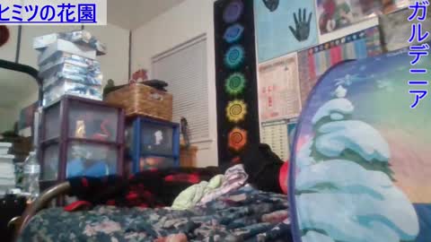 Gardenia online show from February 25, 2025, 7:09 am