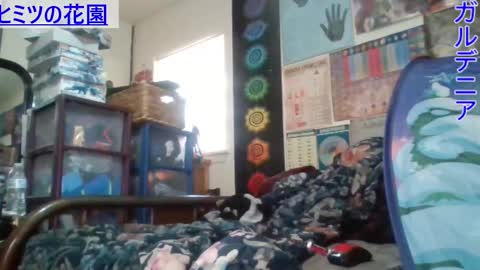 Gardenia online show from February 26, 2025, 9:48 pm