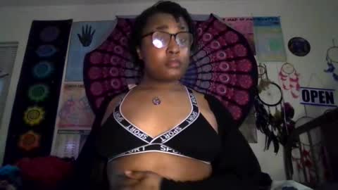 Gardenia online show from March 17, 2026, 7:55 am