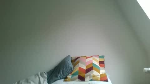 Garfield online show from February 8, 2026, 9:56 am