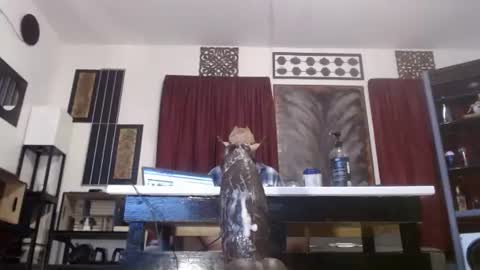 gatewaylaptop2019 online show from April 9, 2026, 6:19 am