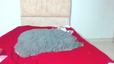 gatita13333321 online show from January 28, 2025, 6:05 am