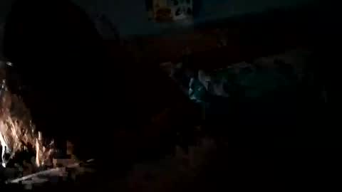 Daddy Gator online show from February 27, 2025, 7:55 am