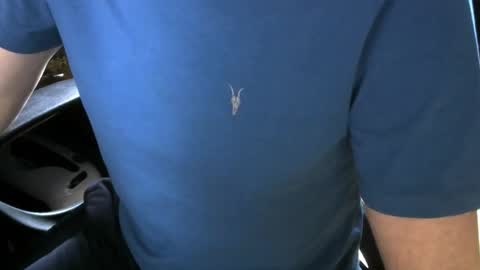 gay slave on cam online show from December 21, 2025, 10:22 am