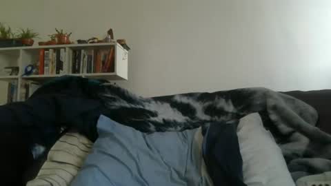 Geon online show from March 27, 2026, 7:25 am