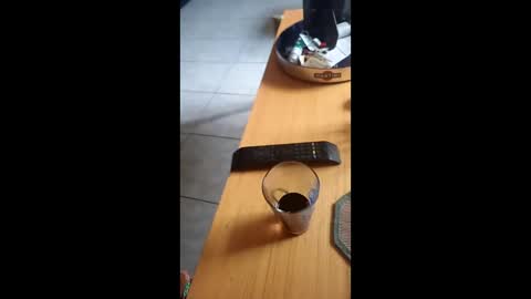 Snapshot of gergokertesz chatting on December 24, 2024, 12:55 pm gergokertesz online show from December 24, 2024, 12:55 pm