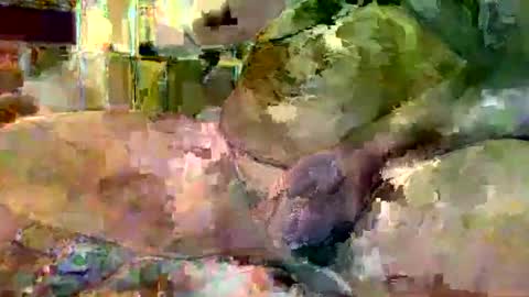 Snapshot of gergokertesz chatting on January 16, 2025, 3:02 am gergokertesz online show from January 16, 2025, 3:02 am