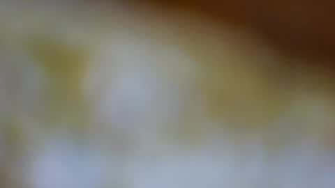 germanandy71 online show from November 23, 2025, 8:58 am