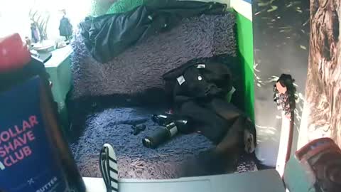 getfucked321jake online show from January 16, 2025, 12:31 pm