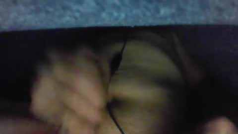 Snapshot of gezuz42069 chatting on March 31, 2026, 9:53 am gezuz42069 online show from March 31, 2026, 9:53 am