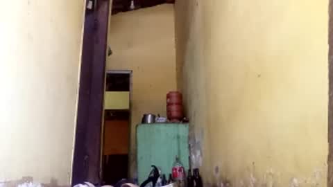 Gaby online show from October 11, 2025, 2:15 pm