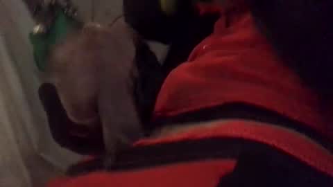 Snapshot of ghallofino26 chatting on February 5, 2026, 2:49 am ghallofino26 online show from February 5, 2026, 2:49 am