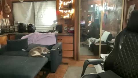 ghostboygbc online show from March 17, 2026, 3:33 am