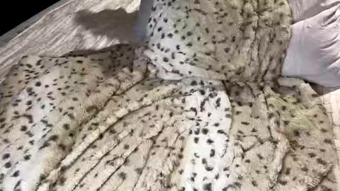 Snapshot of giaa4everr chatting on November 7, 2025, 11:49 pm Giaa4ever online show from November 7, 2025, 11:49 pm