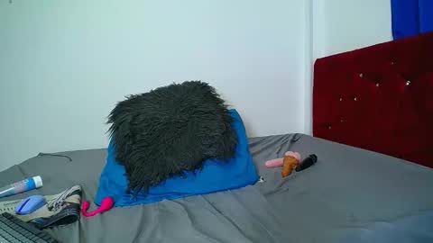 Snapshot of gigi_scott_ chatting on February 26, 2026, 12:42 am GIGI STCOTT online show from February 26, 2026, 12:42 am