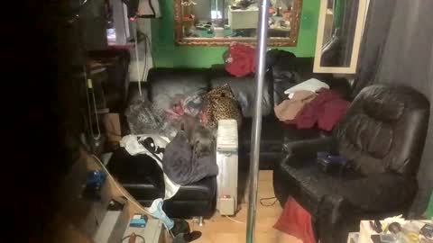 GinaGender online show from November 24, 2025, 7:13 pm
