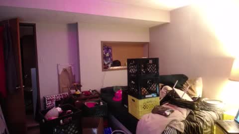 ginger_binj online show from October 8, 2025, 6:00 am