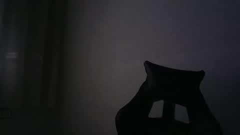 Snapshot of gioshadow chatting on September 29, 2025, 11:48 am gioshadow online show from September 29, 2025, 11:48 am