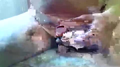 girafsnoop online show from February 25, 2026, 12:59 pm