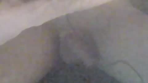 lovegirlscallme online show from January 12, 2026, 9:09 pm