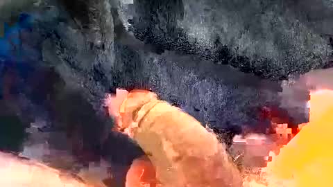 Snapshot of gman41000 chatting on December 30, 2024, 3:25 am Gman online show from December 30, 2024, 3:25 am